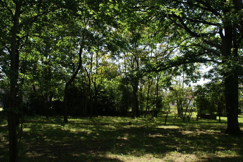 Nuit D'Un Jour Bed & Breakfast Montmerle Sur Saone Luaran gambar