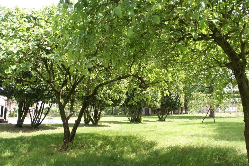 Nuit D'Un Jour Bed & Breakfast Montmerle Sur Saone Luaran gambar