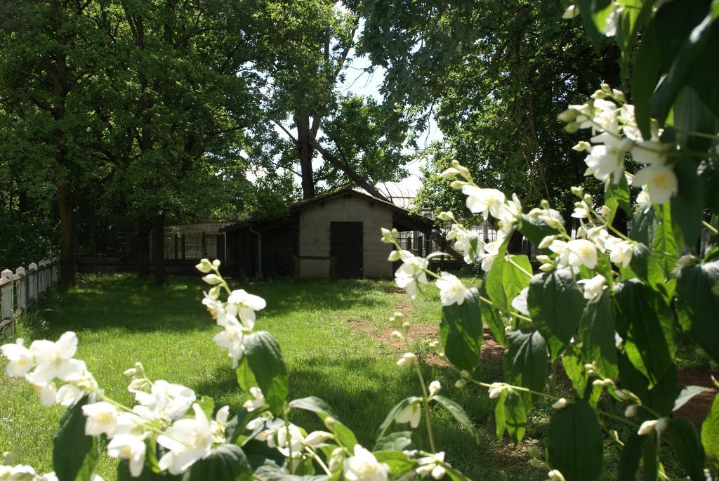 Nuit D'Un Jour Bed & Breakfast Montmerle Sur Saone Luaran gambar