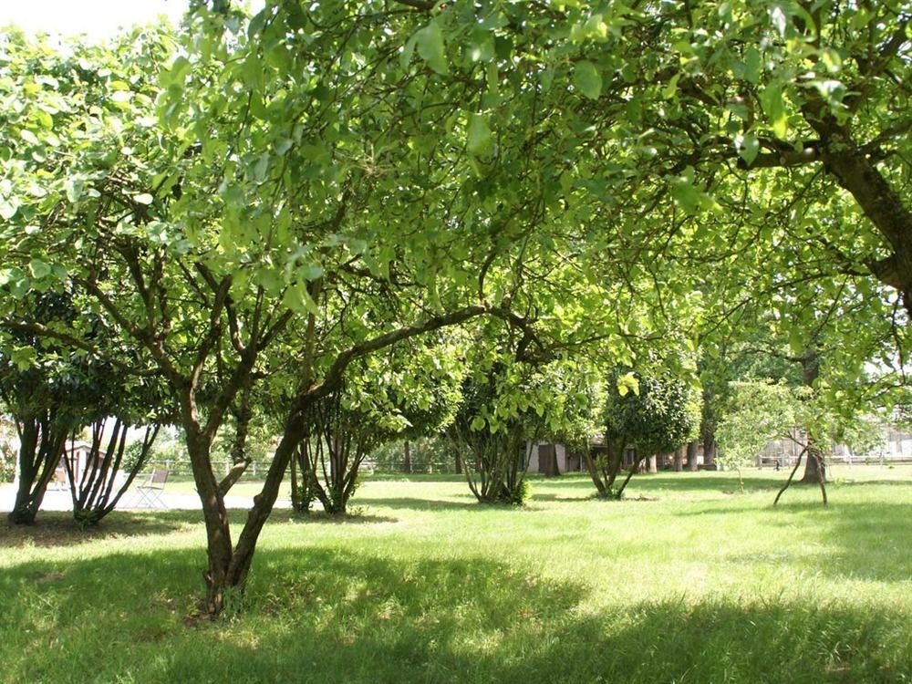 Nuit D'Un Jour Bed & Breakfast Montmerle Sur Saone Luaran gambar